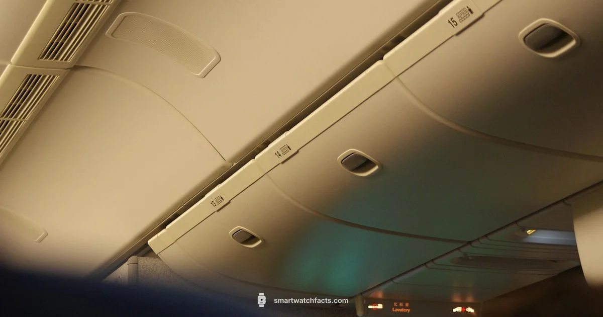 Smartwatch Flight Guide - Smartwatch Facts