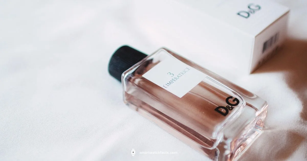 Luxury Smartwatch Guide - Smartwatch Facts