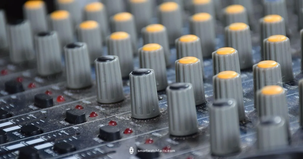 Music Control Fix - Smartwatch Facts