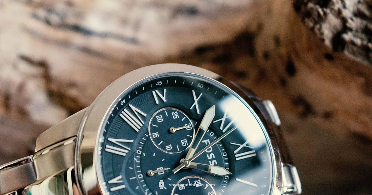 Fossil for Men Fossil for Men - Smartwatch Facts