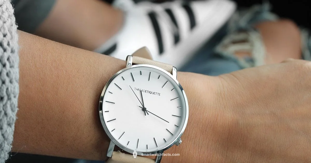 Minimalist Smartwatch Minimalist Smartwatch - Smartwatch Facts