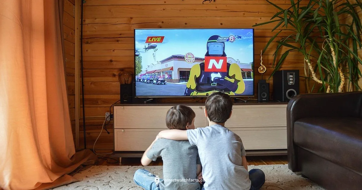 Internet and TV Internet and TV - Smartwatch Facts