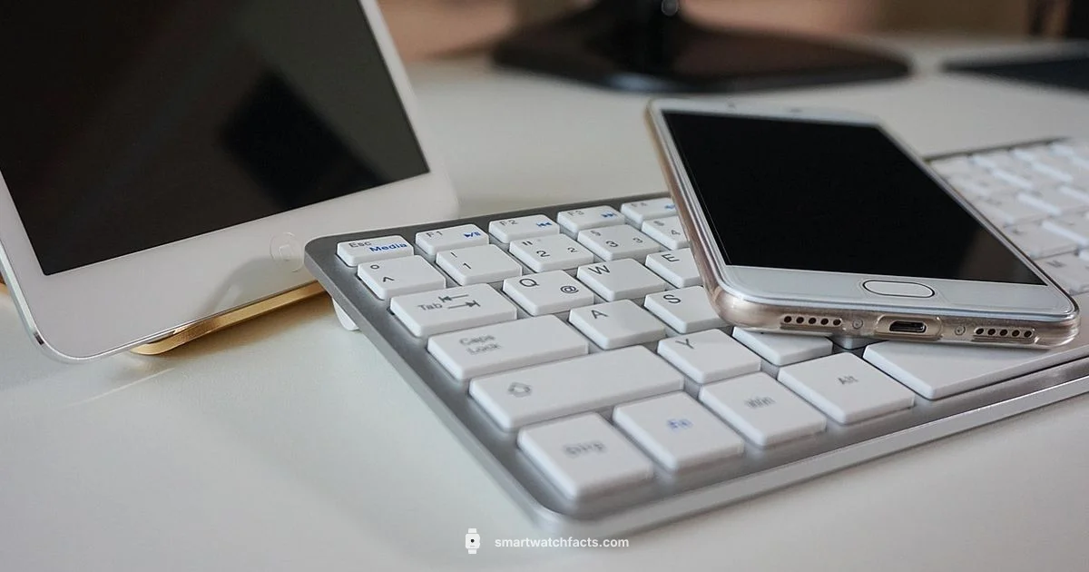 Smartwatch Plans Smartwatch Plans - Smartwatch Facts