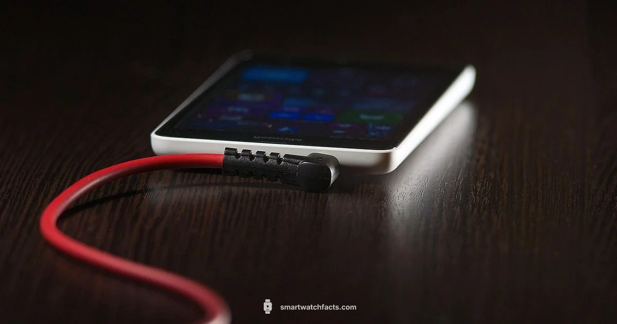 Smartwatch Review - Smartwatch Facts