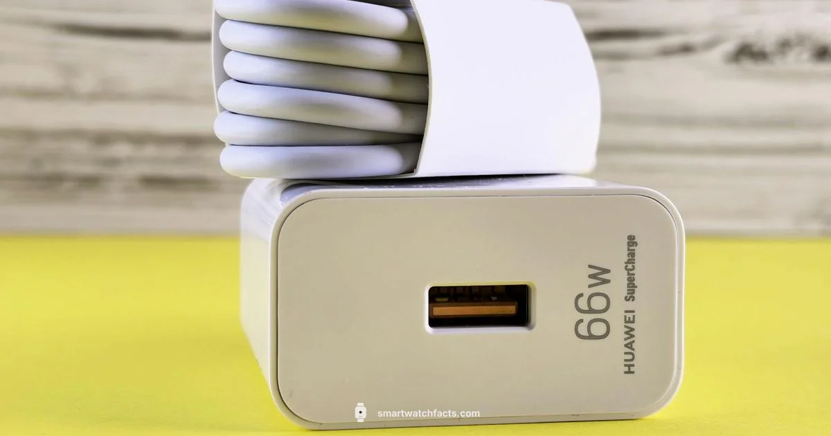 Huawei Watch Charger - Smartwatch Facts