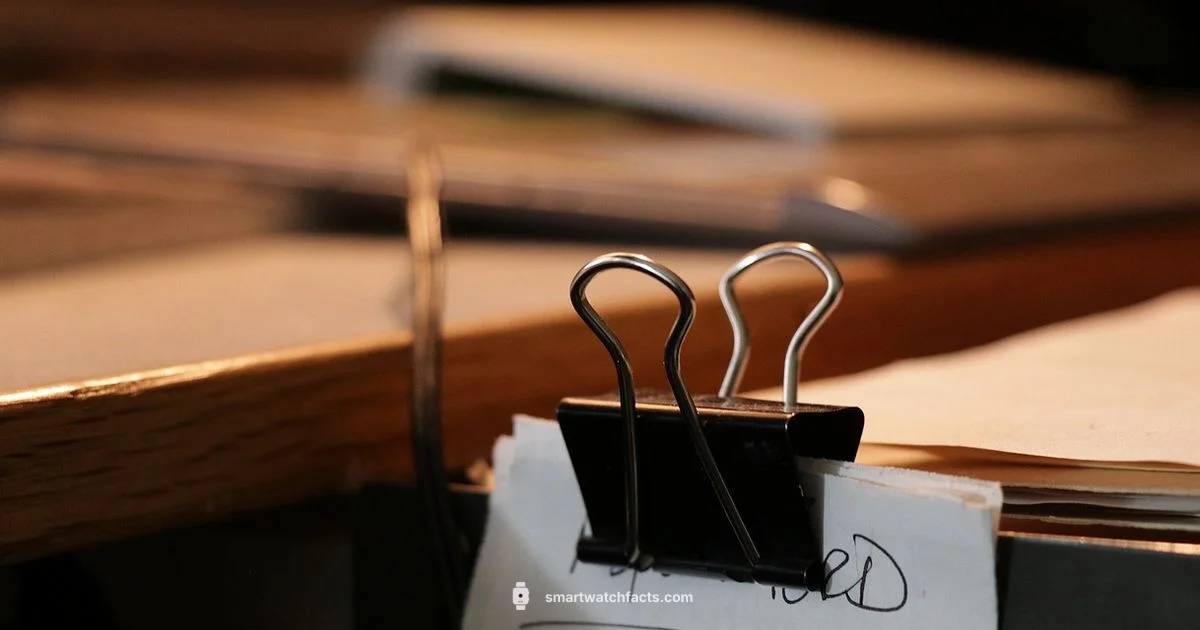 Smartwatch Setup Essentials - Smartwatch Facts