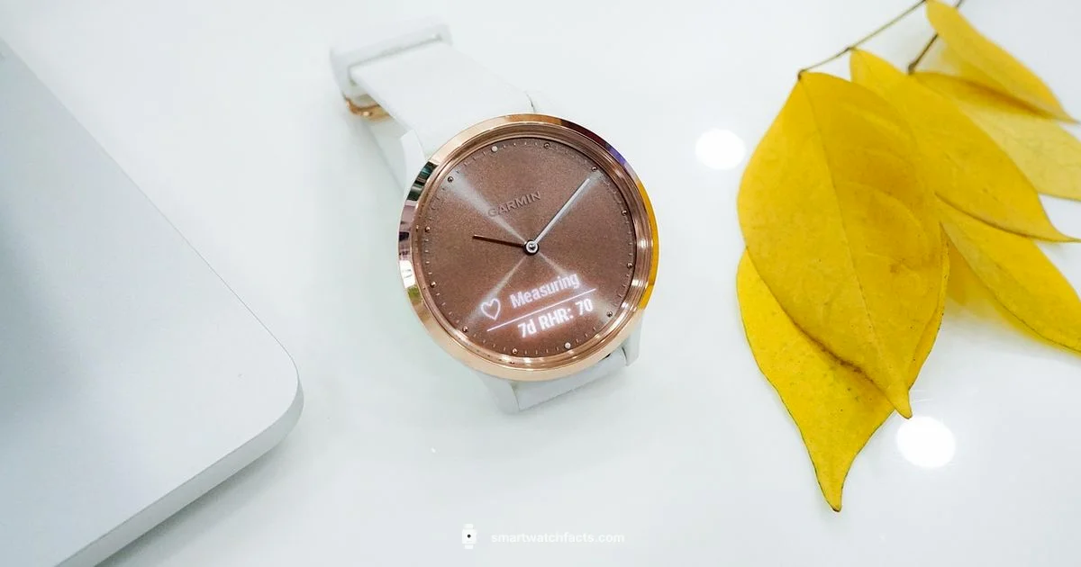 Smartwatch Independence Smartwatch Independence - Smartwatch Facts