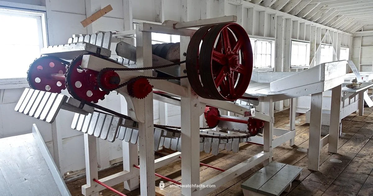 Smartwatch China Guide Smartwatch China Guide - Smartwatch Facts