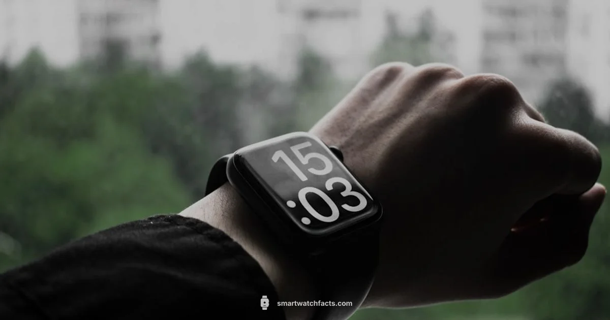 Hw22 Guide - Smartwatch Facts