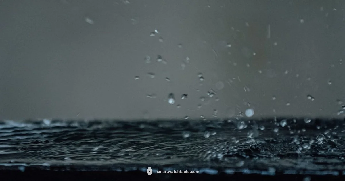 Dry Your Watch Dry Your Watch - Smartwatch Facts