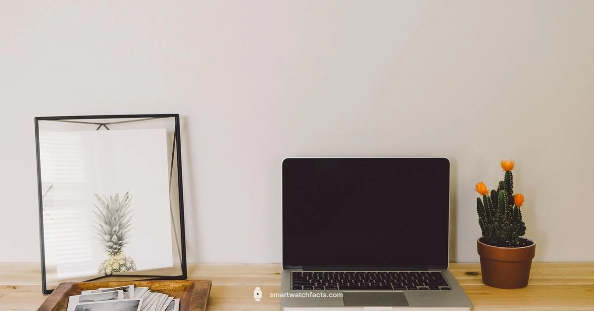 Smartwatch Type Overview - Smartwatch Facts