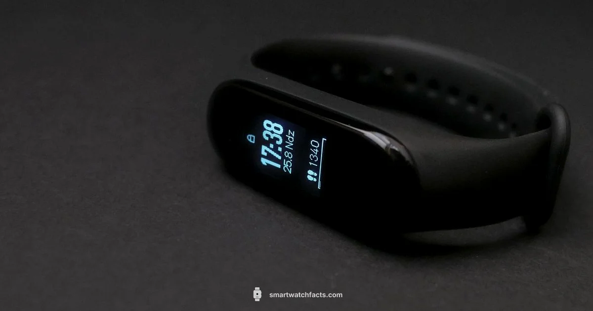 Step Accuracy Step Accuracy - Smartwatch Facts