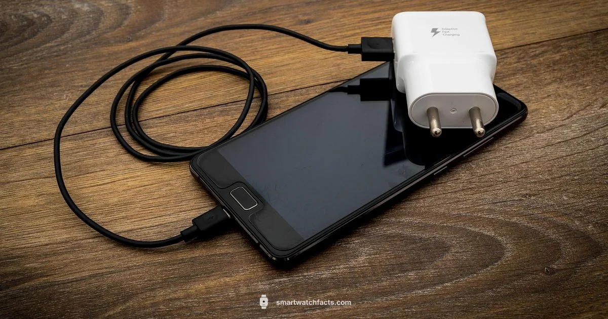 Two Pin Charger - Smartwatch Facts