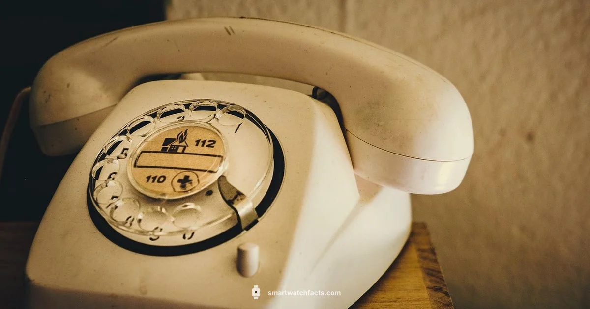 Voice on Wrist - Smartwatch Facts