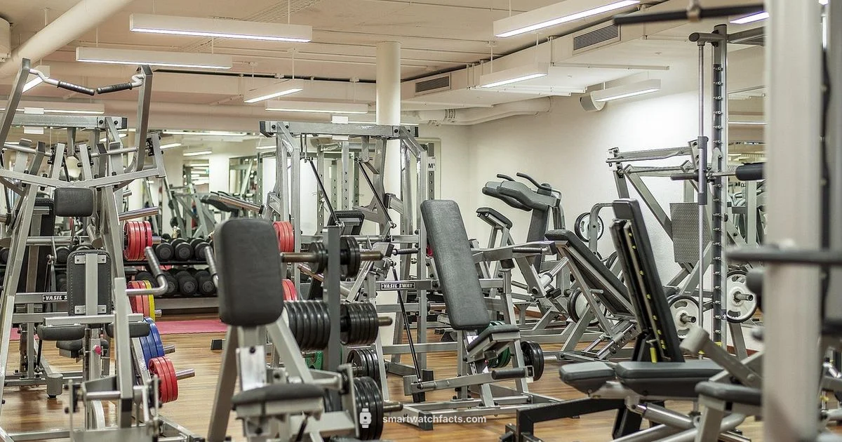 Top Smartwatch Guide - Smartwatch Facts