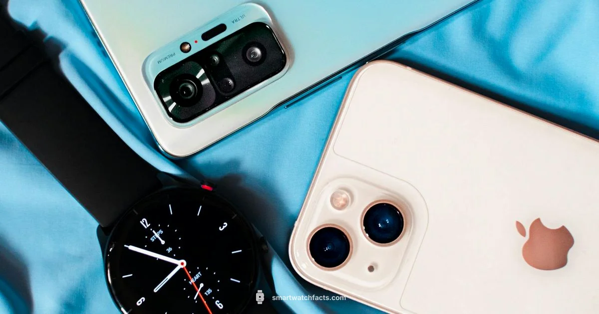 Smartwatch Showdown Smartwatch Showdown - Smartwatch Facts