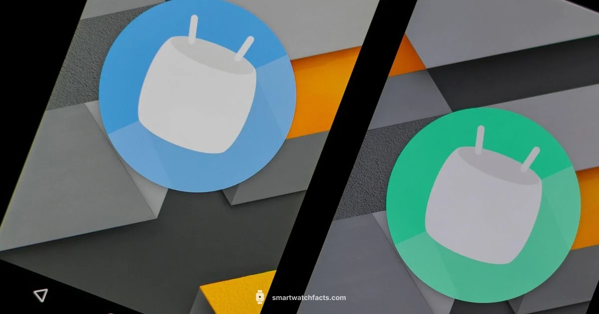 Android on Wrist - Smartwatch Facts