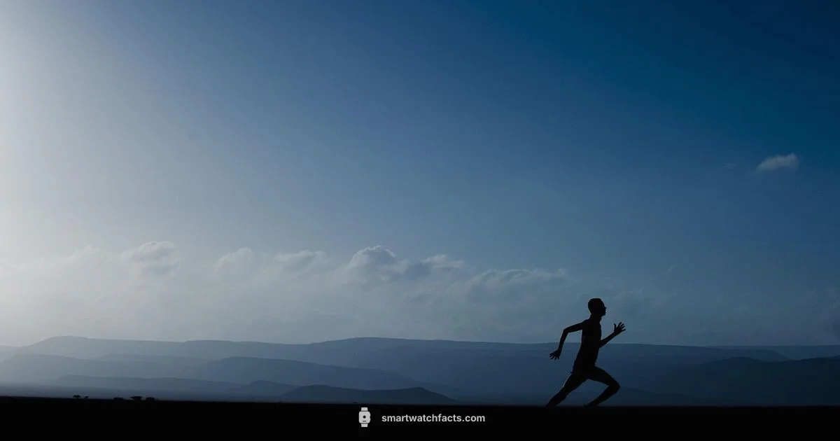 Best Sport Watch - Smartwatch Facts