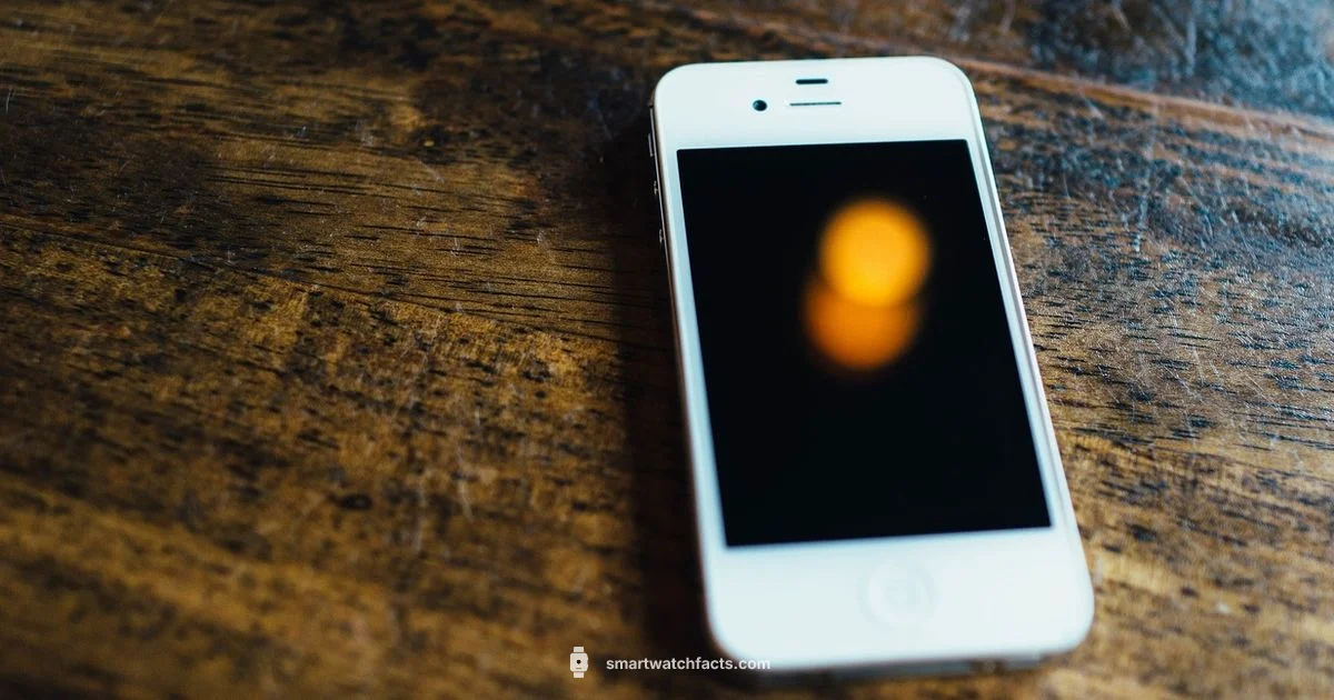 Apple Smart Watch Guide - Smartwatch Facts