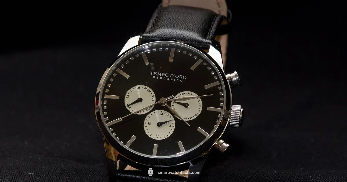 Analog Smartwatch Guide Analog Smartwatch Guide - Smartwatch Facts