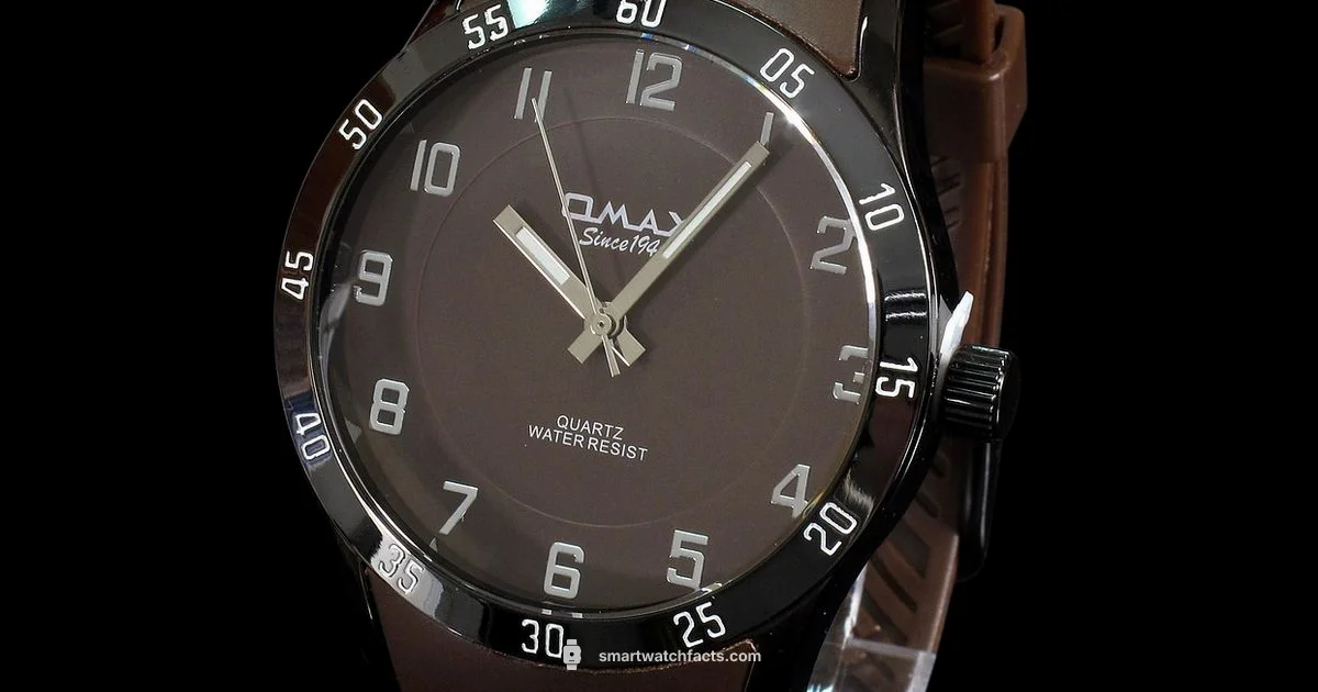 Smartwatch Guide Smartwatch Guide - Smartwatch Facts