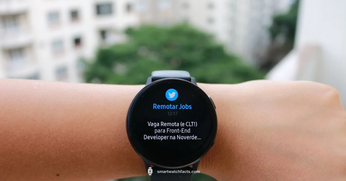 Price Spotlight - Smartwatch Facts