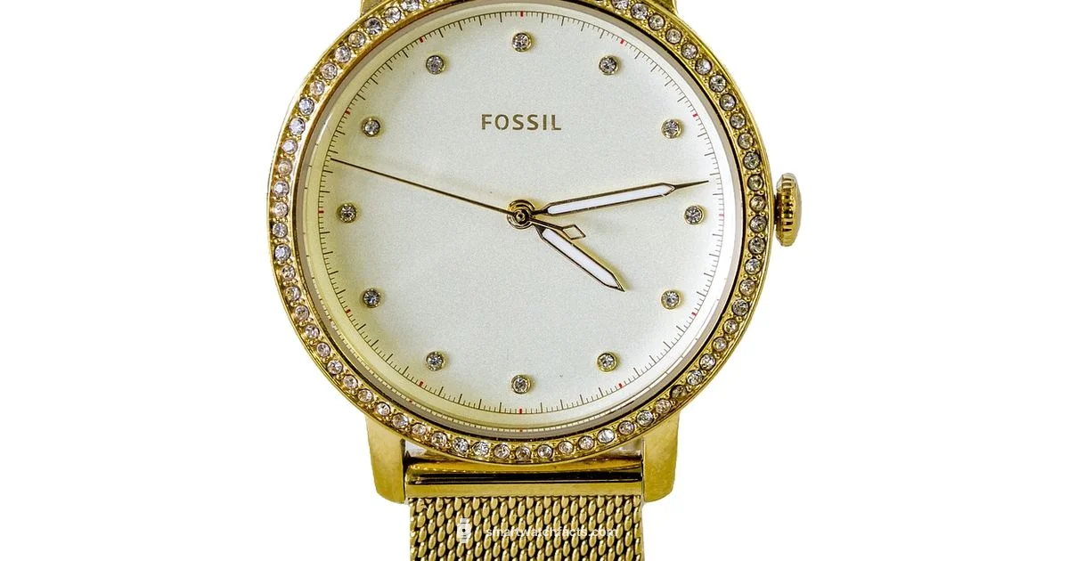 Fossil Ladies Smartwatch Fossil Ladies Smartwatch - Smartwatch Facts