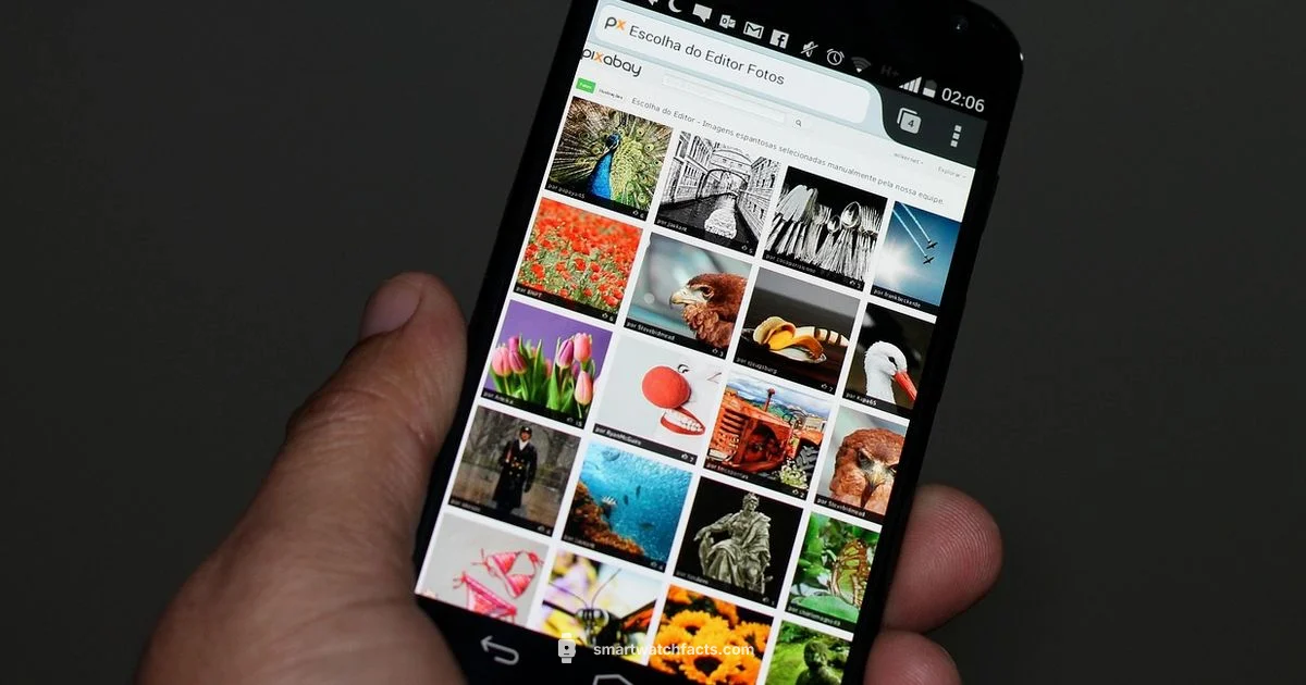 Moto Watch Guide - Smartwatch Facts