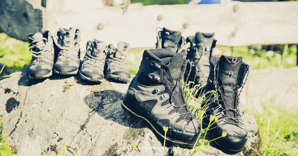 Budget Waterproof - Smartwatch Facts