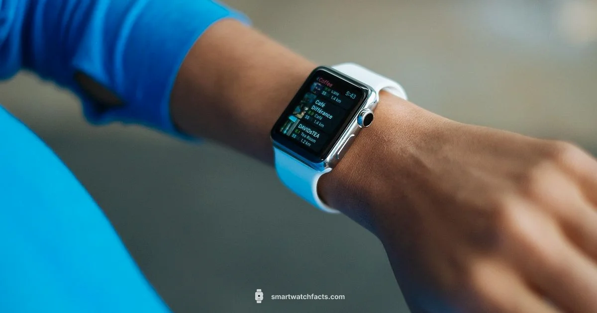 Smartwatch Basics - Smartwatch Facts
