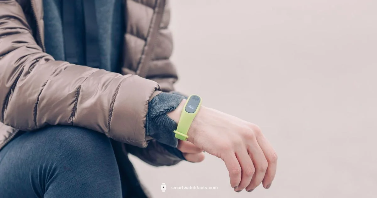 Carbinox Guide Carbinox Guide - Smartwatch Facts