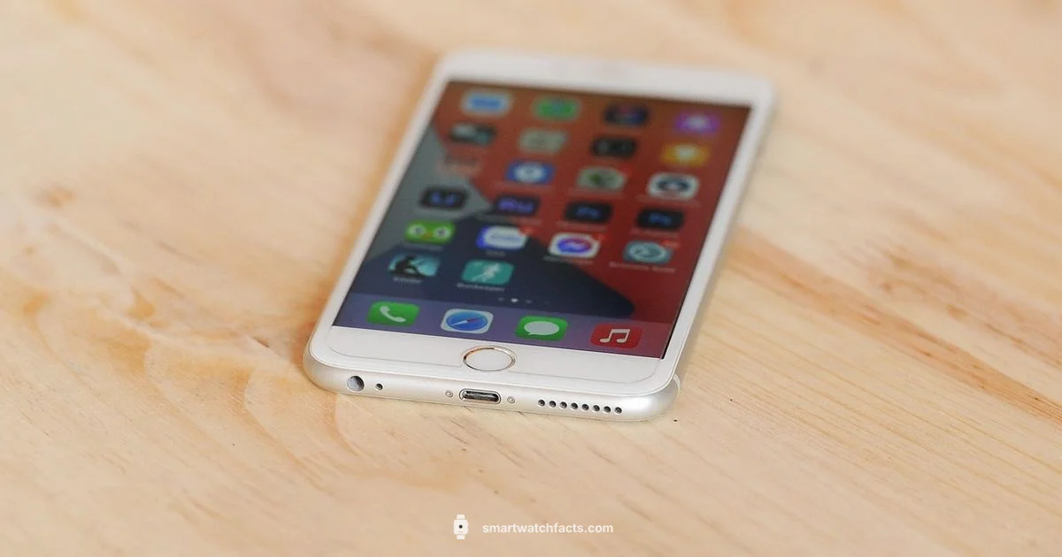 Setup in Minutes Setup in Minutes - Smartwatch Facts