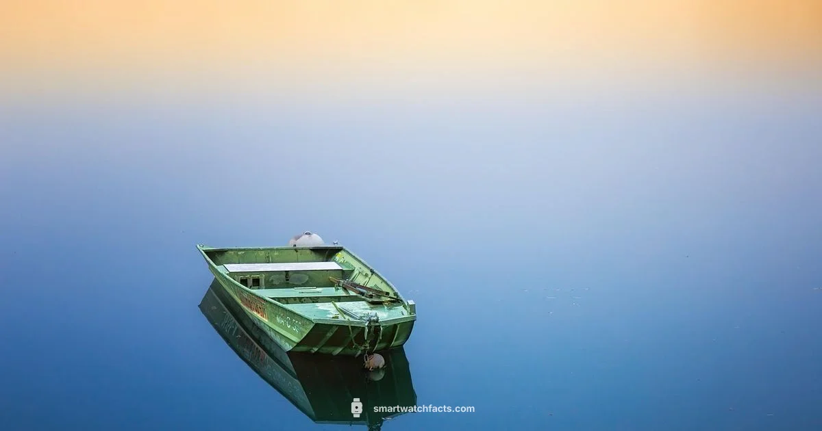 Noise vs Boat - Smartwatch Facts