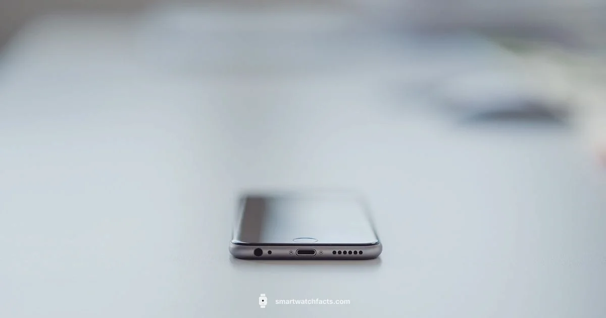 Phone Data Use - Smartwatch Facts