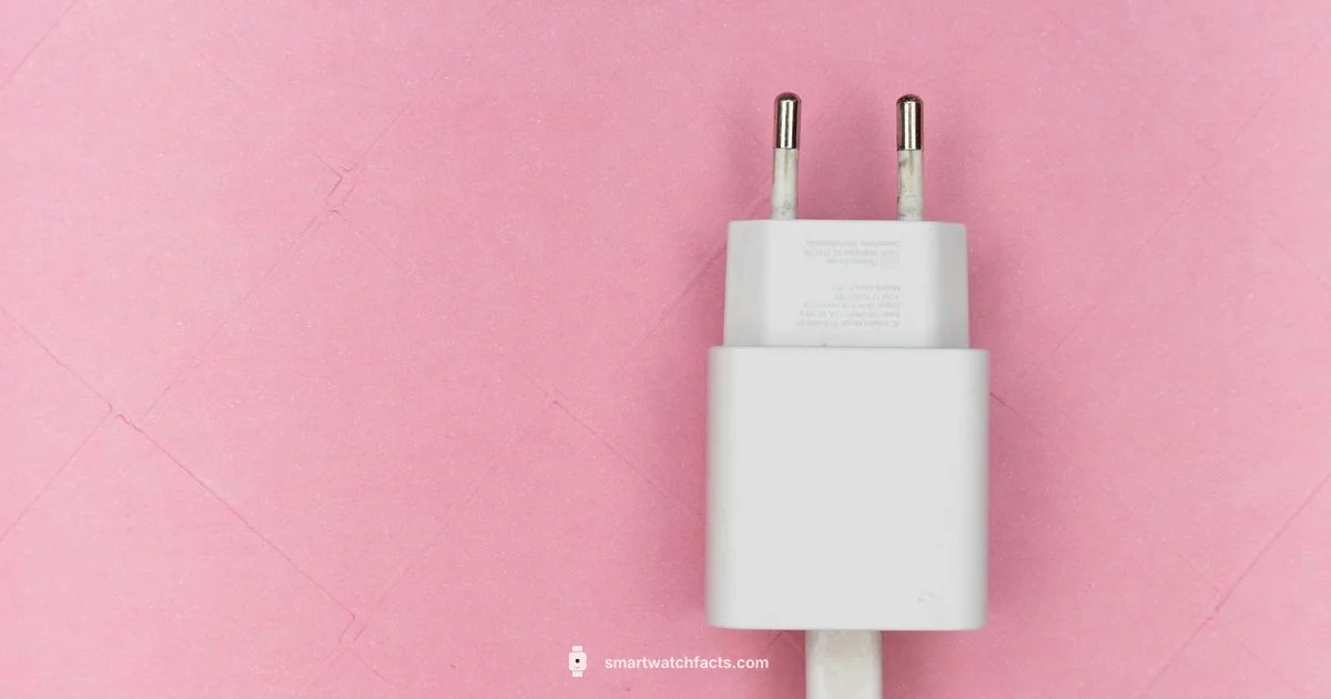 Charger DIY Charger DIY - Smartwatch Facts