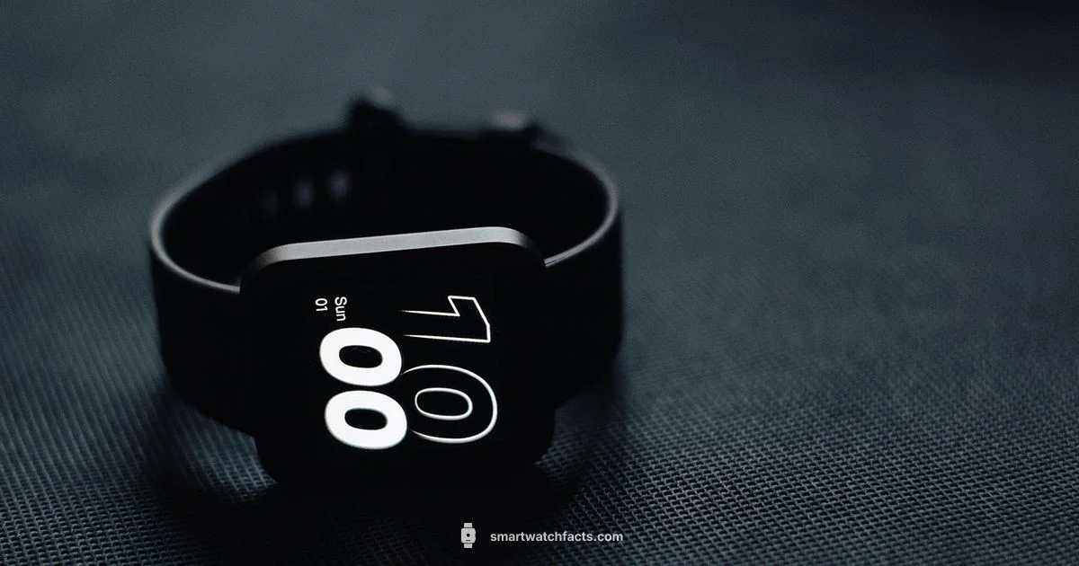 Data Plan Guide Data Plan Guide - Smartwatch Facts