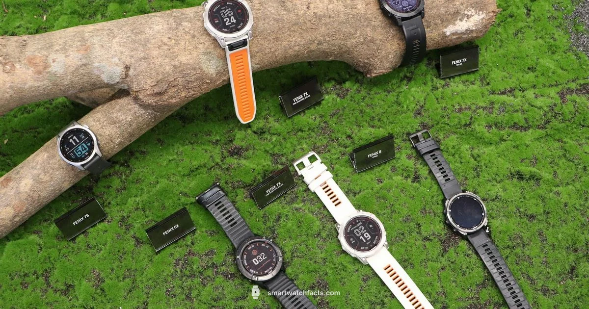 Sensor Insights Sensor Insights - Smartwatch Facts