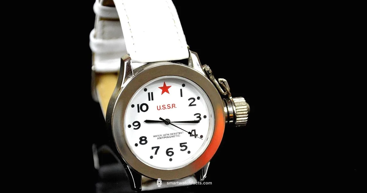 Delta Pro Guide - Smartwatch Facts