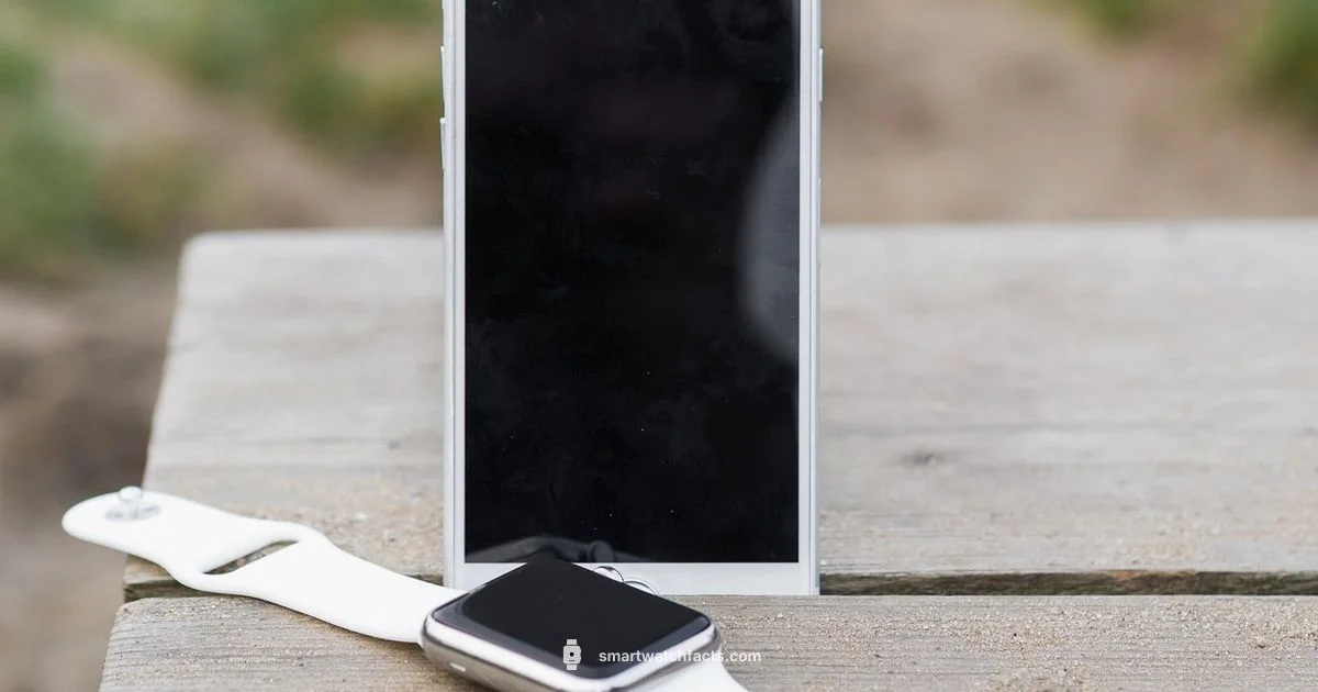 Phone Free Smartwatch - Smartwatch Facts