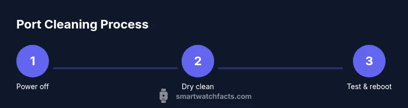 Process infographic showing steps to clean smart watch charging port