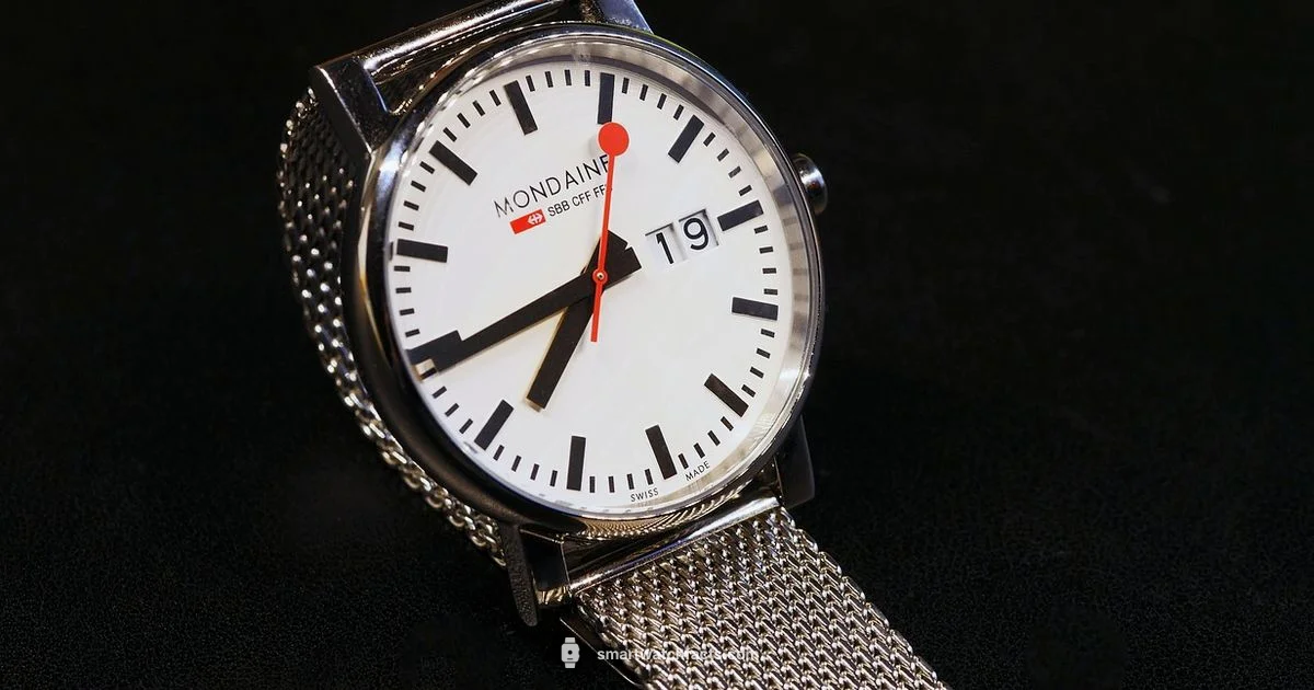 Swiss Style Watch - Smartwatch Facts