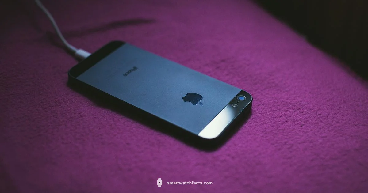 Charger Essentials - Smartwatch Facts