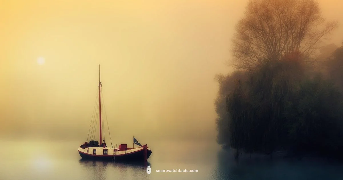 Boat vs Noise Watches - Smartwatch Facts