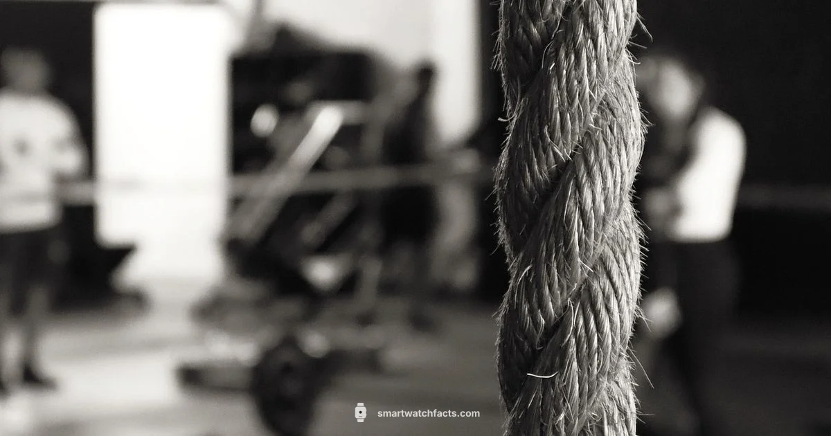 Smartwatch Safety Guide - Smartwatch Facts