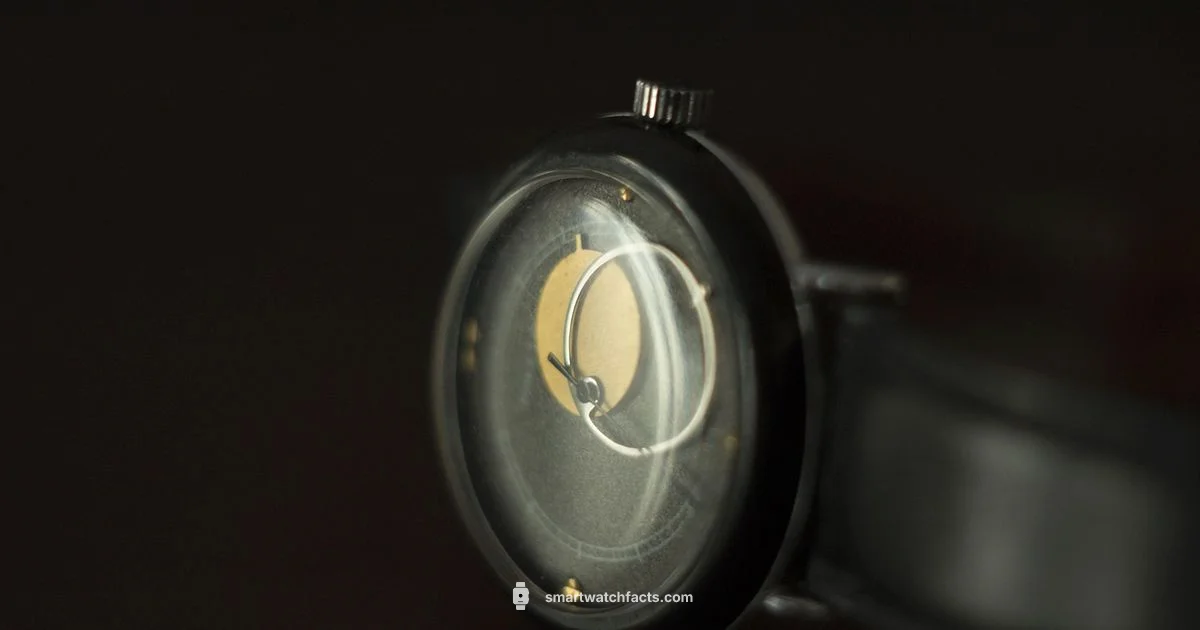 Smartwatch vs Fitbit Smartwatch vs Fitbit - Smartwatch Facts