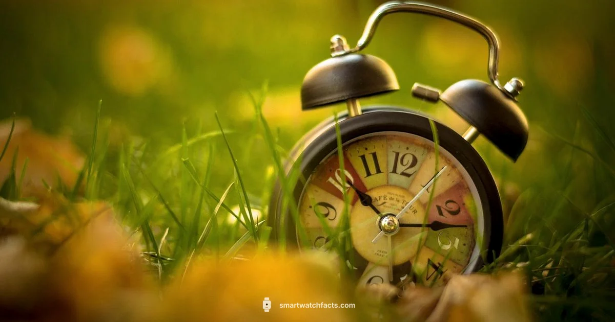 Alarm on Watch Alarm on Watch - Smartwatch Facts